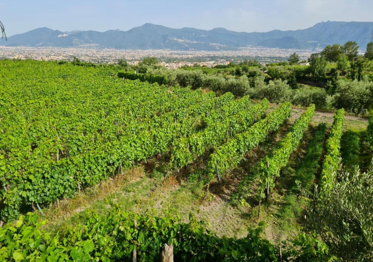 Vesuvio Inn Bed & Wine Experience Boscotrecase Экстерьер фото