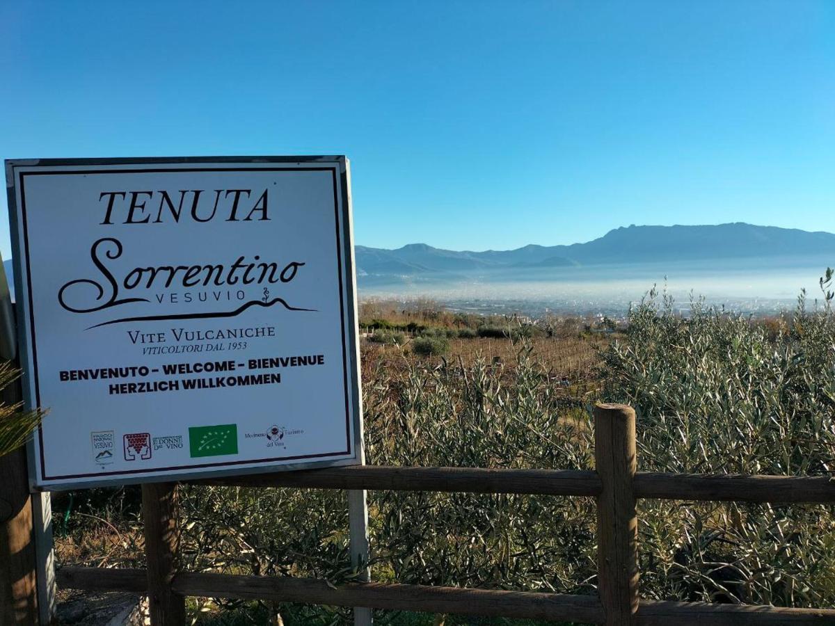 Vesuvio Inn Bed & Wine Experience Boscotrecase Экстерьер фото
