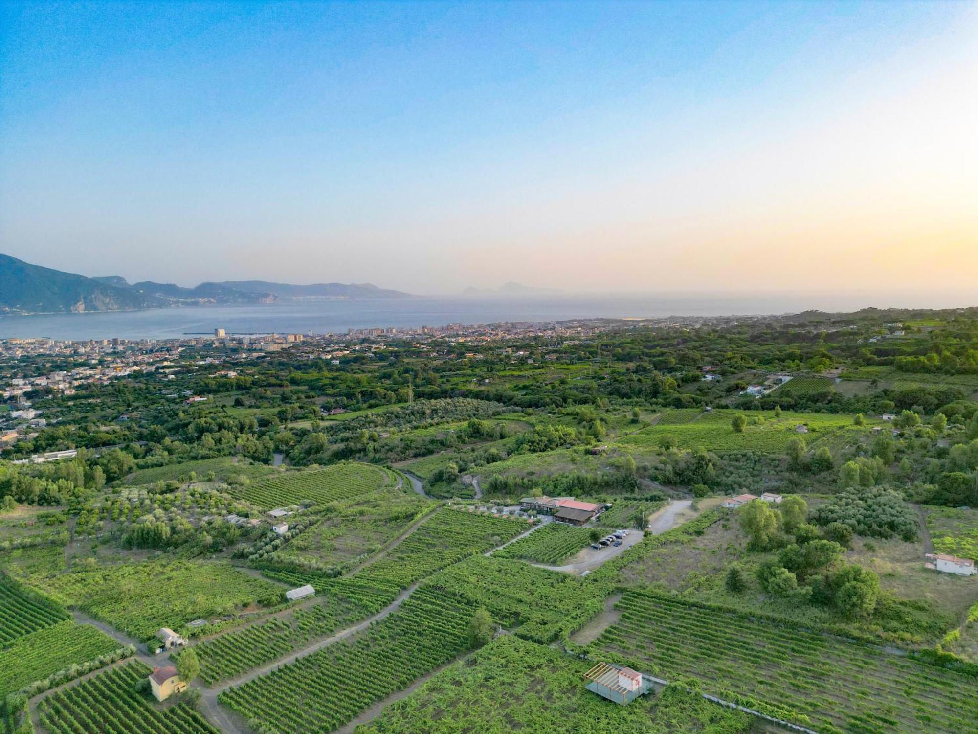 Vesuvio Inn Bed & Wine Experience Boscotrecase Экстерьер фото