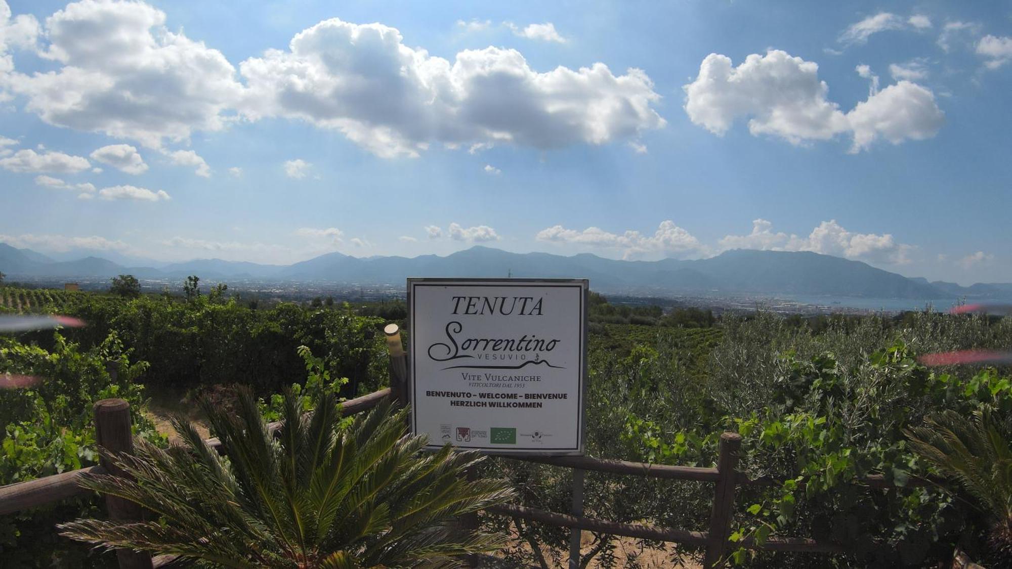 Vesuvio Inn Bed & Wine Experience Boscotrecase Экстерьер фото