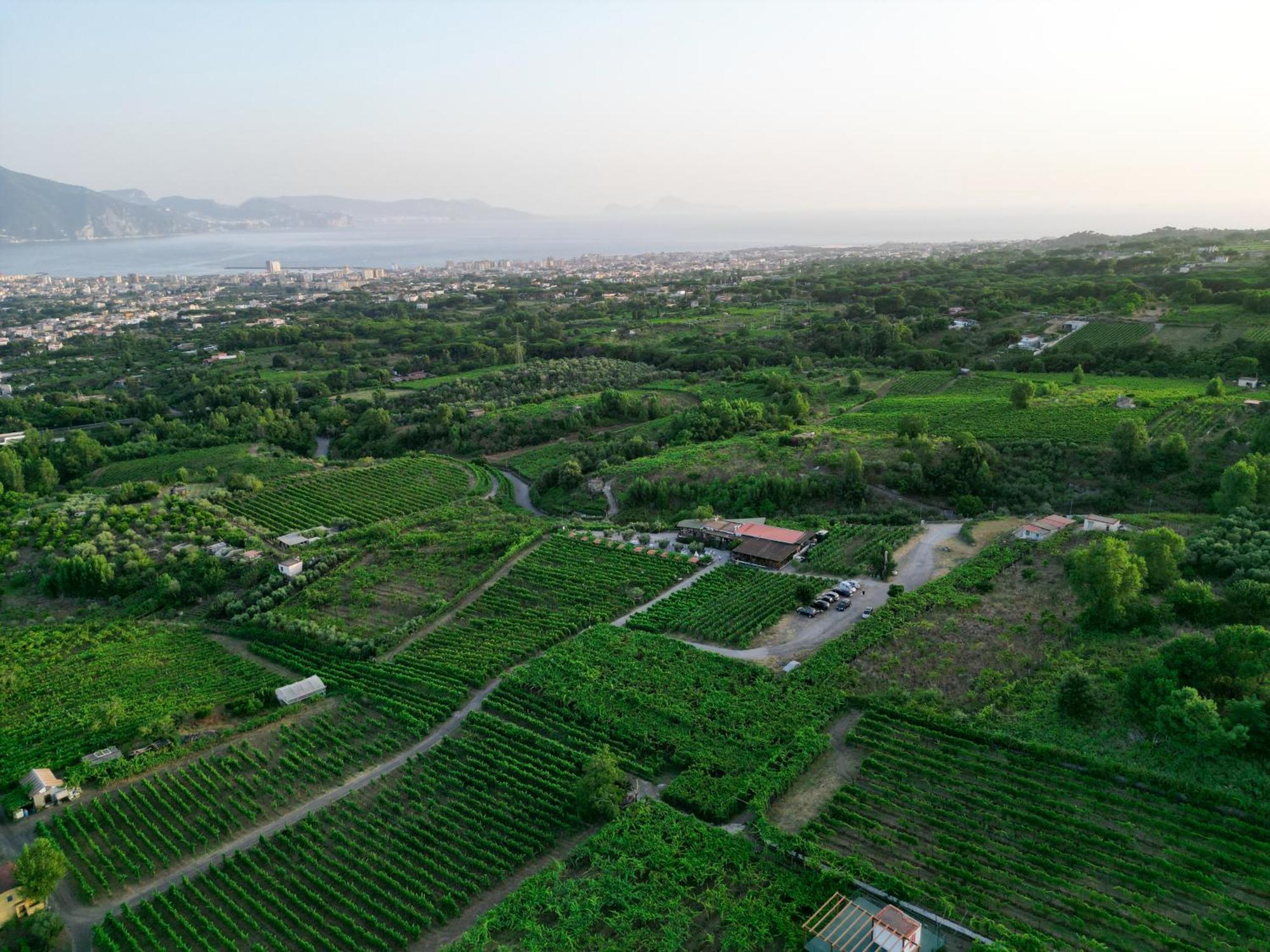 Vesuvio Inn Bed & Wine Experience Boscotrecase Экстерьер фото
