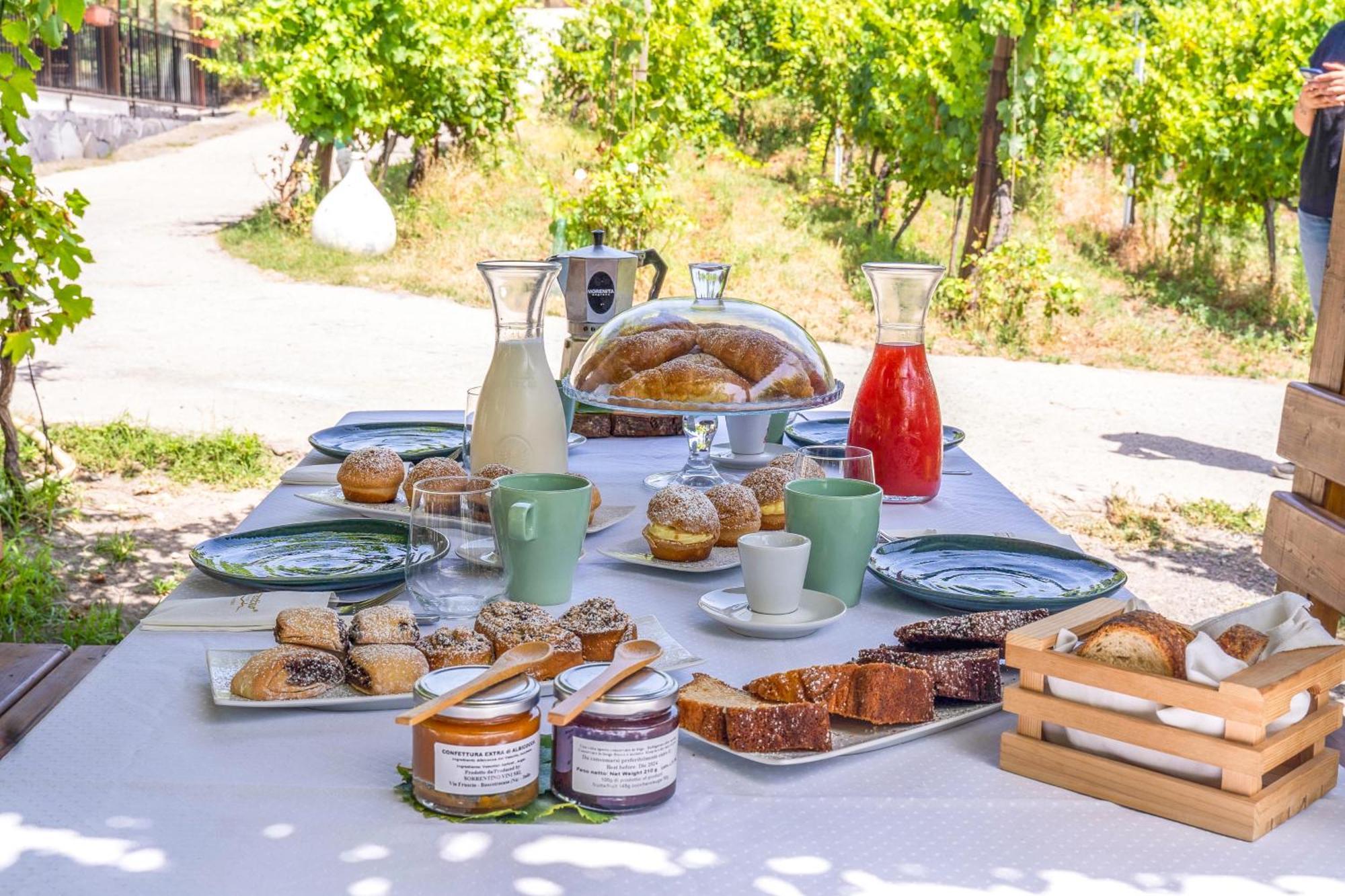 Vesuvio Inn Bed & Wine Experience Boscotrecase Экстерьер фото