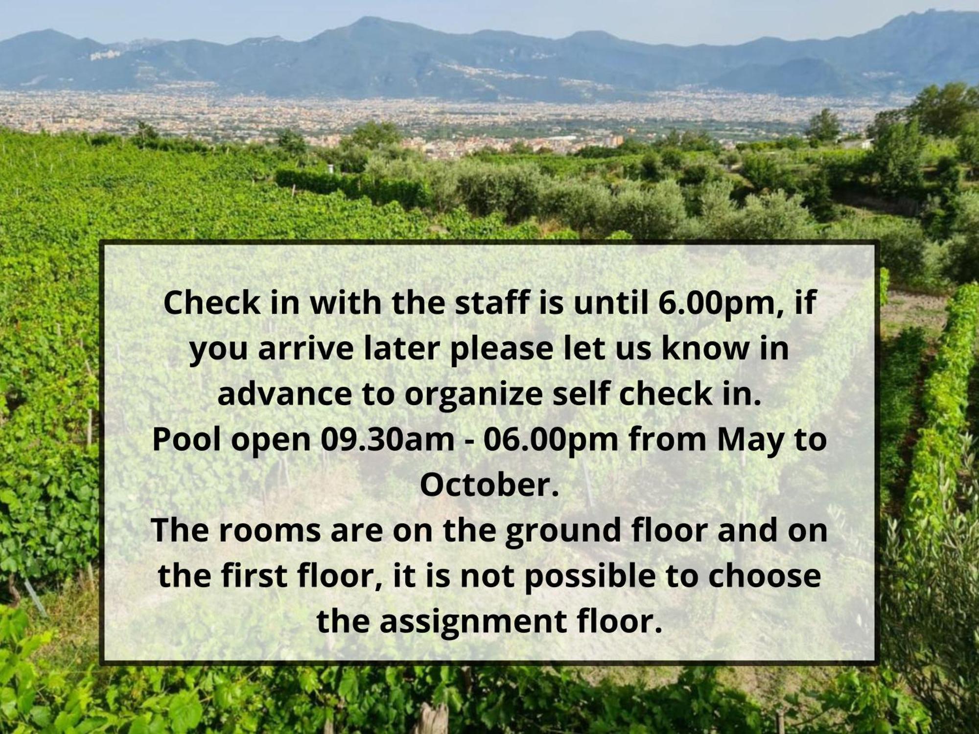Vesuvio Inn Bed & Wine Experience Boscotrecase Экстерьер фото