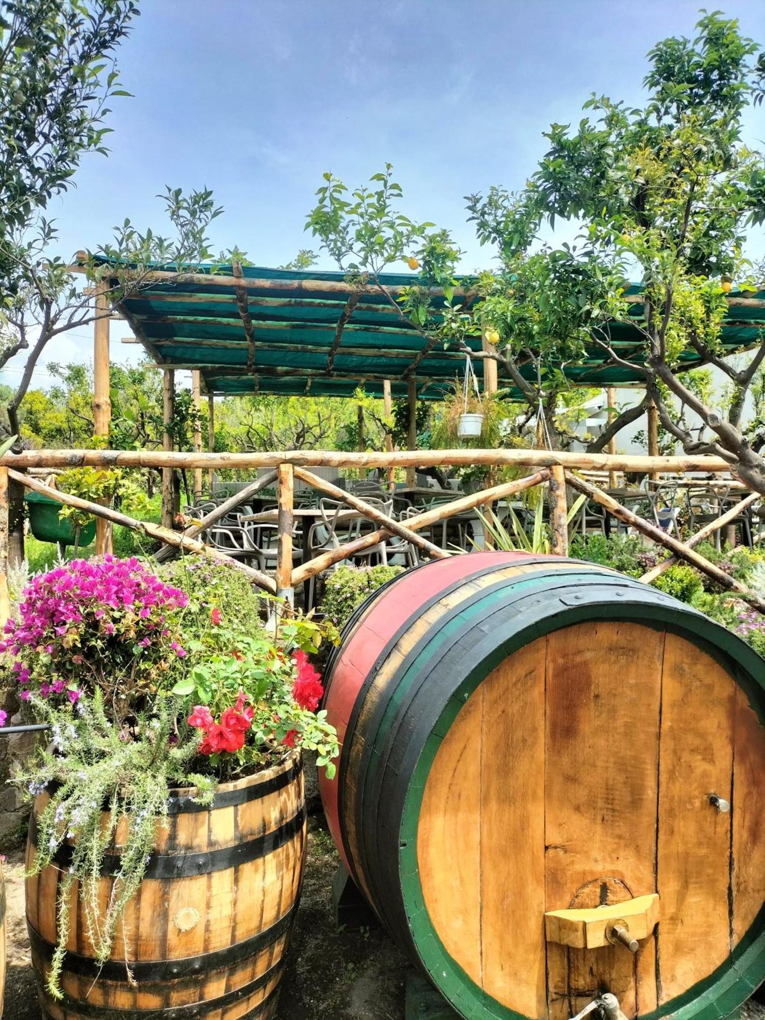 Vesuvio Inn Bed & Wine Experience Boscotrecase Экстерьер фото