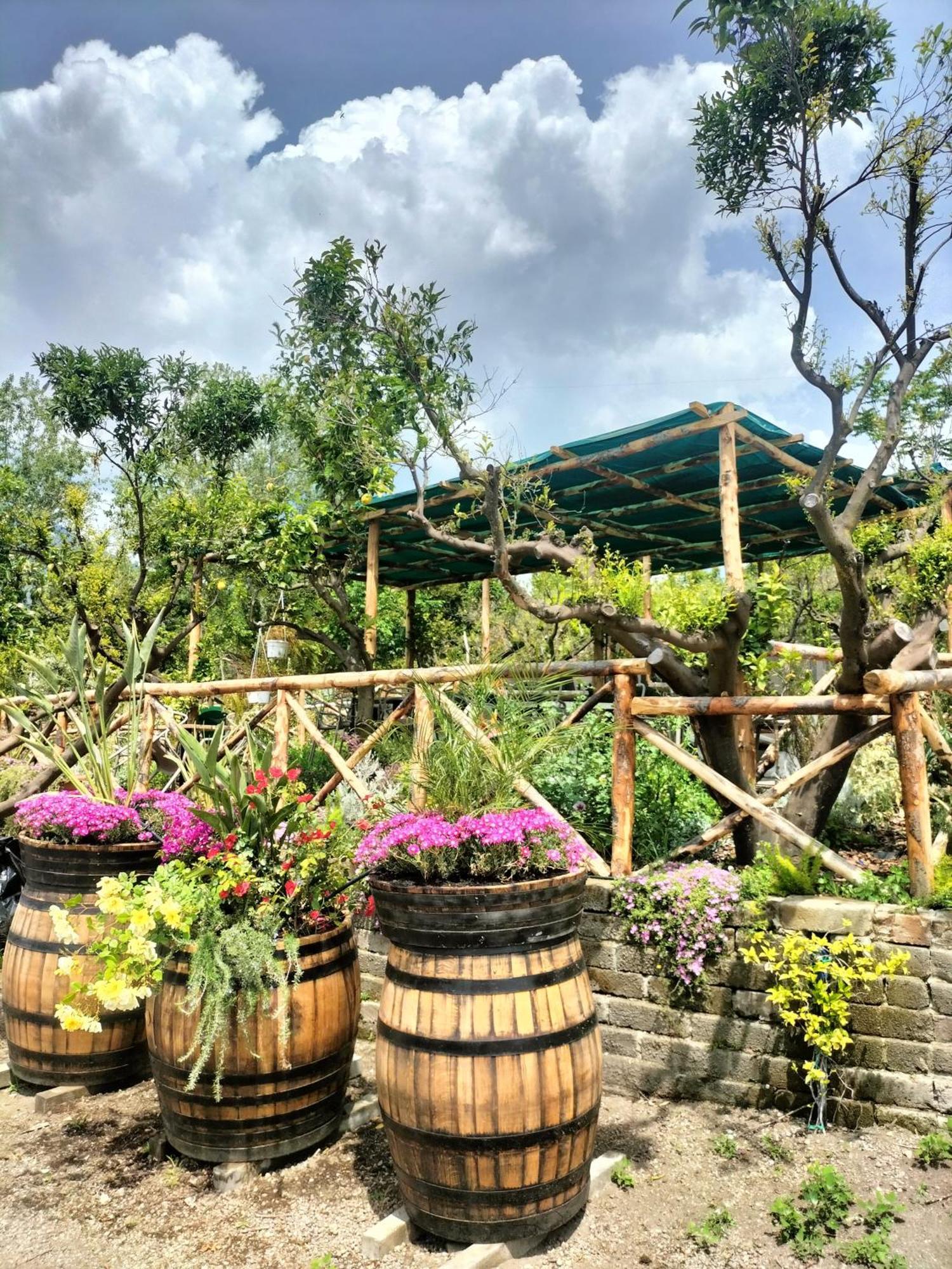 Vesuvio Inn Bed & Wine Experience Boscotrecase Экстерьер фото